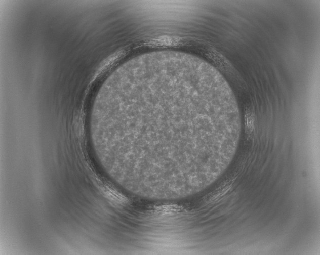 X0000051890396200507222021