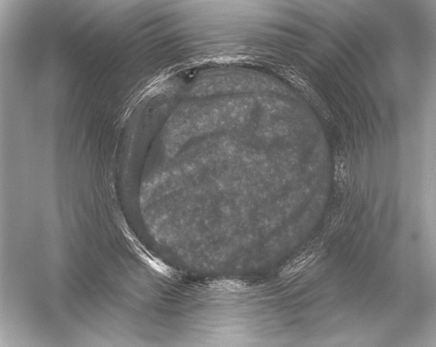 X0000051890397200507222021