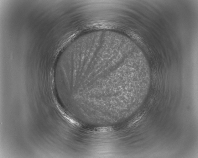 X0000051890398200507222021