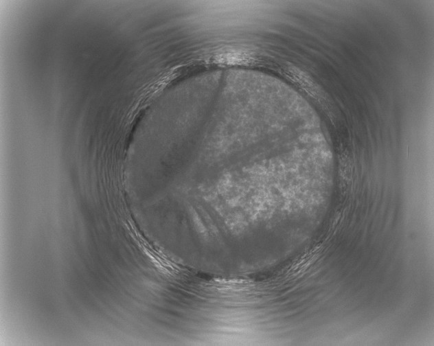 X0000051890401200507222021