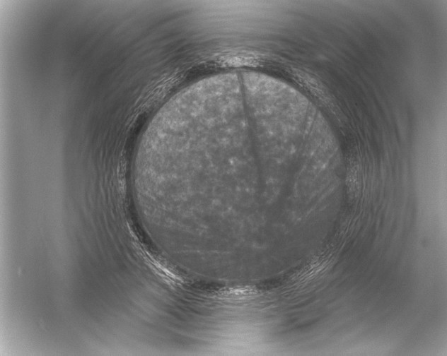 X0000051890402200507222021