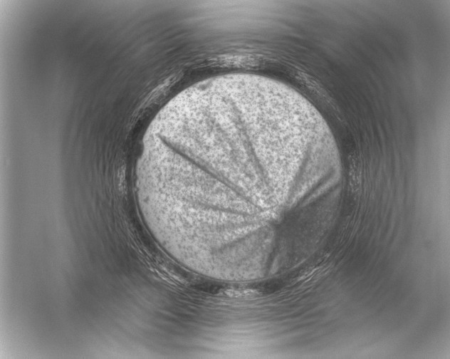 X0000051890403200507222021