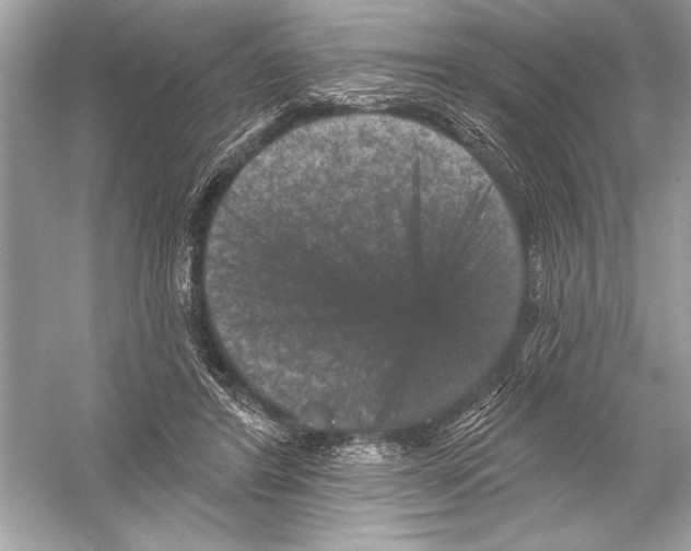 X0000051890404200507222021