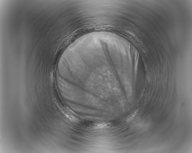 X0000051890405200507222021