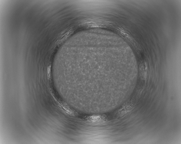 X0000051890406200507222021