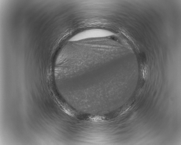 X0000051890407200507222021