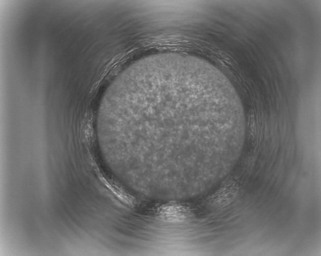 X0000051890408200507222021