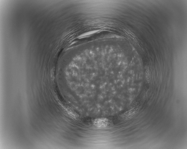 X0000051890410200507222021