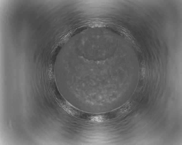 X0000051890411200507222021