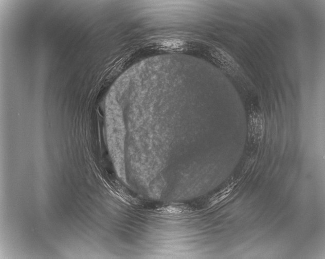 X0000051890412200507222021