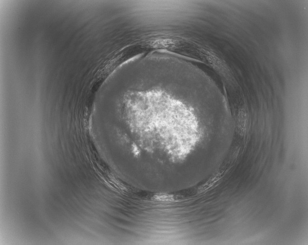 X0000051890413200507222021