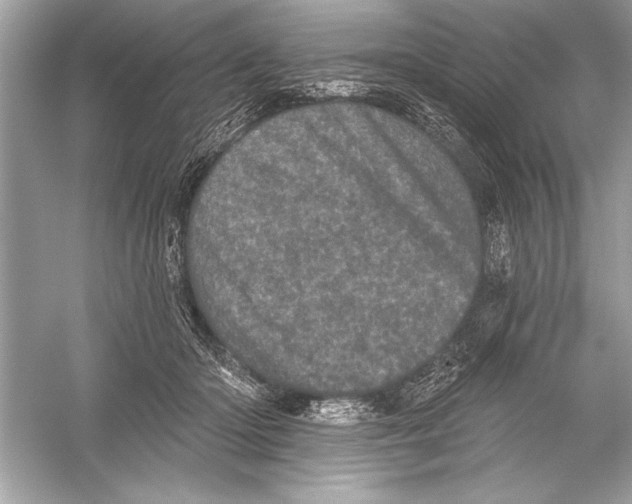 X0000051890414200507222021