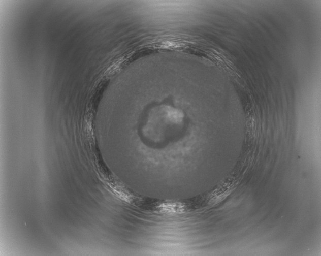 X0000051890415200507222021