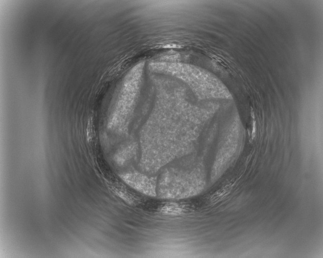 X0000051890416200507222021