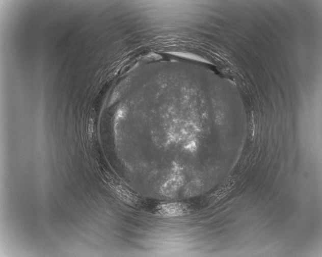 X0000051890417200507222021