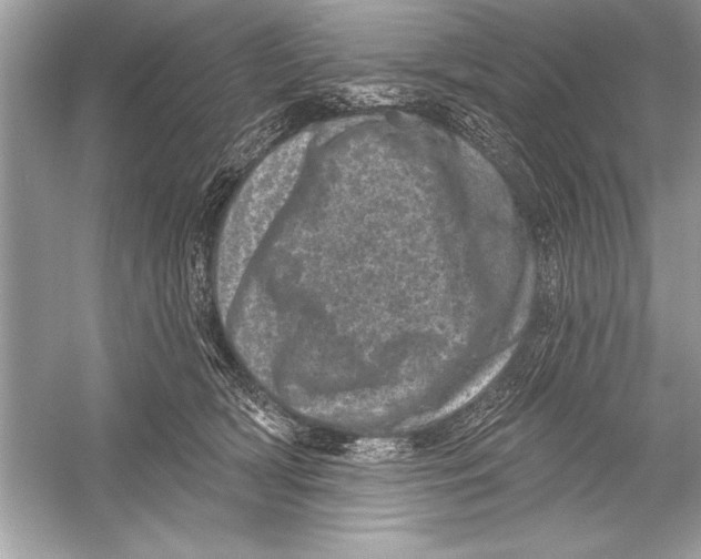 X0000051890418200507222021