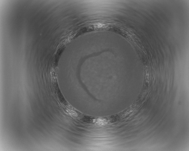 X0000051890419200507222021