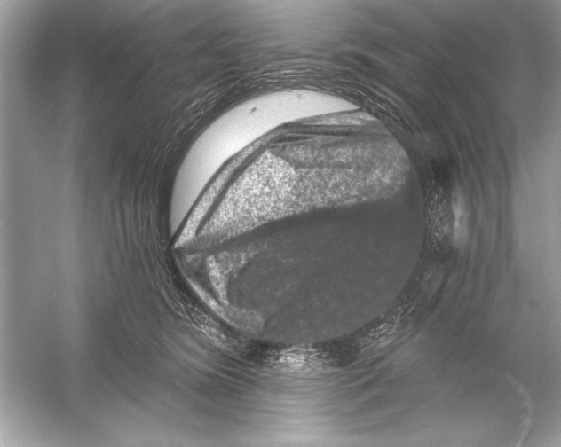 X0000051890420200507222021