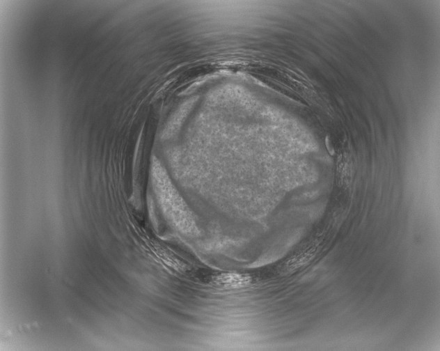 X0000051890421200507222021