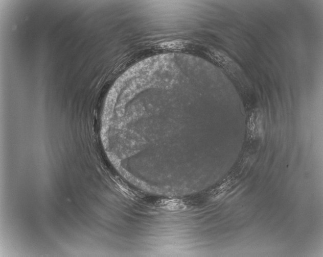 X0000051890424200507222021