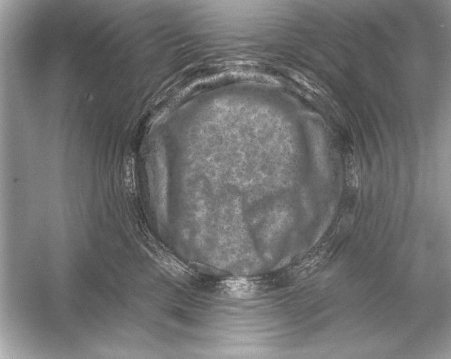 X0000051890425200507222021