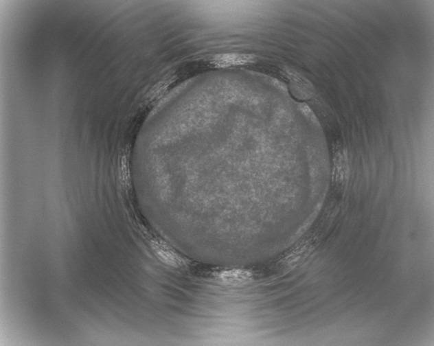 X0000051890426200507222021