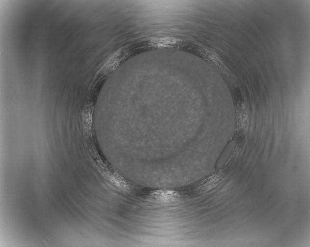 X0000051890427200507222021