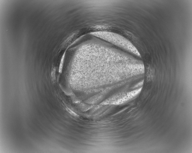 X0000051890428200507222021