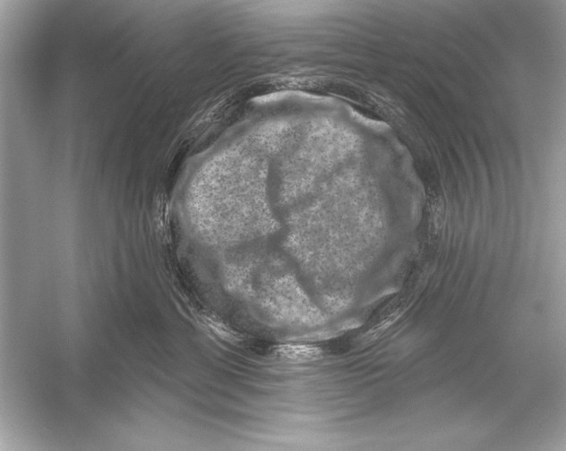 X0000051890429200507222021