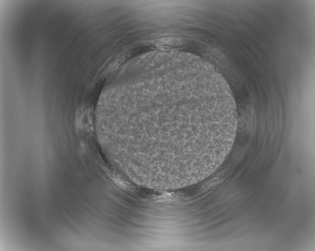 X0000051890430200507222021