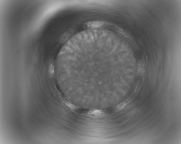 X0000051890431200507222021