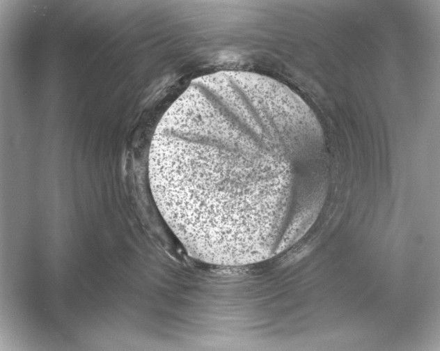 X0000051890432200507222021