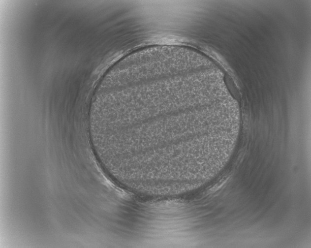 X0000051890433200507222020