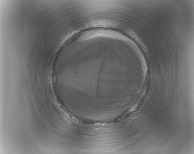 X0000051890434200507222020