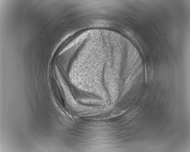 X0000051890435200507222020