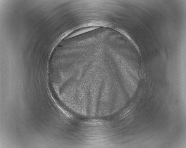 X0000051890437200507222020