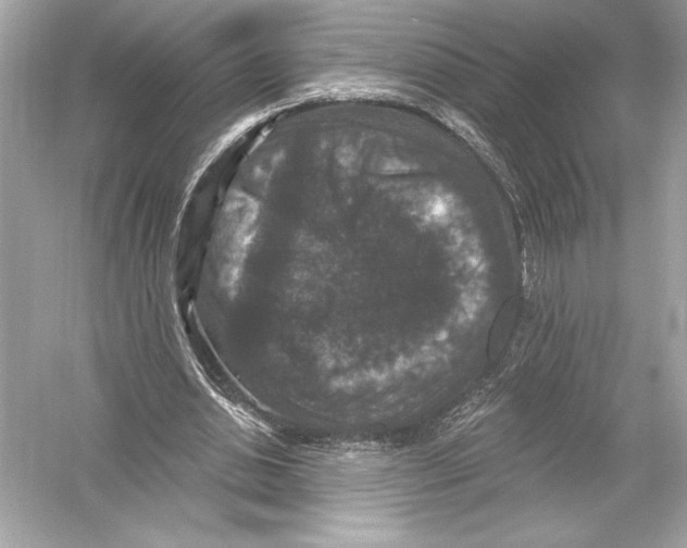 X0000051890438200507222020