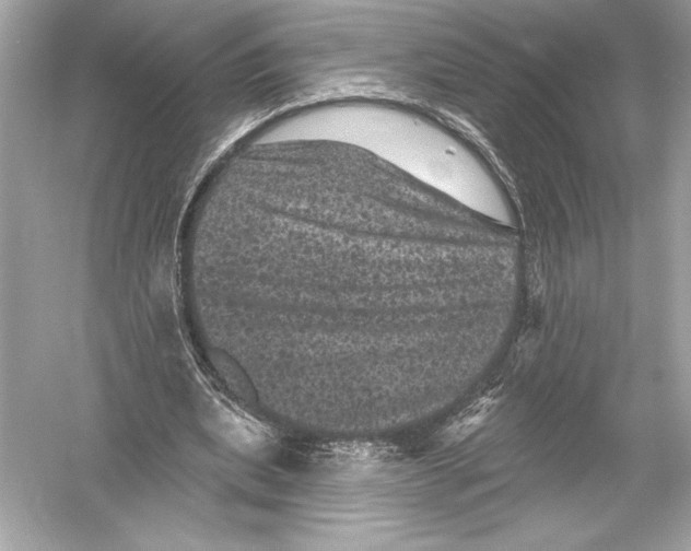 X0000051890439200507222020