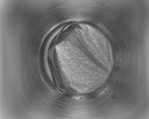 X0000051890440200507222020