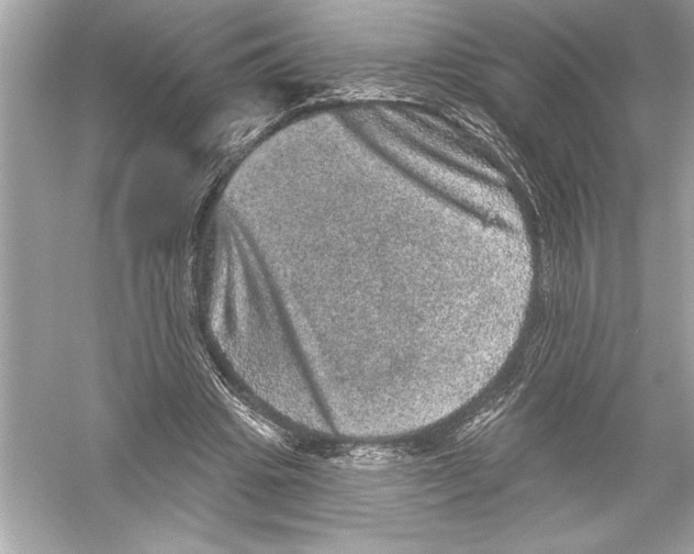 X0000051890441200507222020