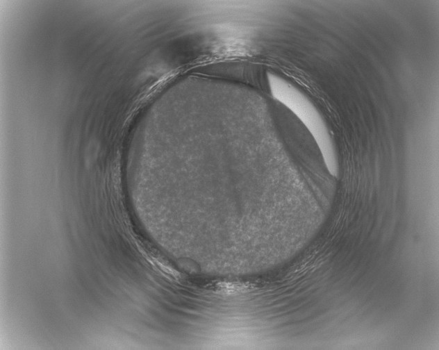 X0000051890442200507222020