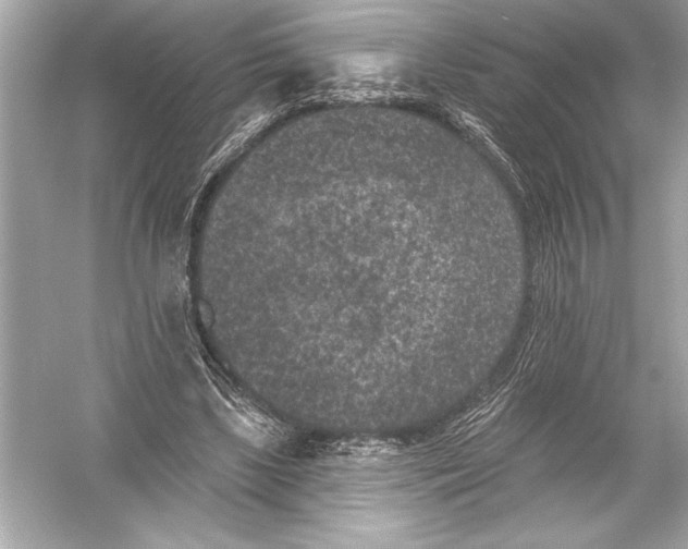 X0000051890443200507222020