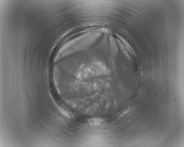 X0000051890444200507222020