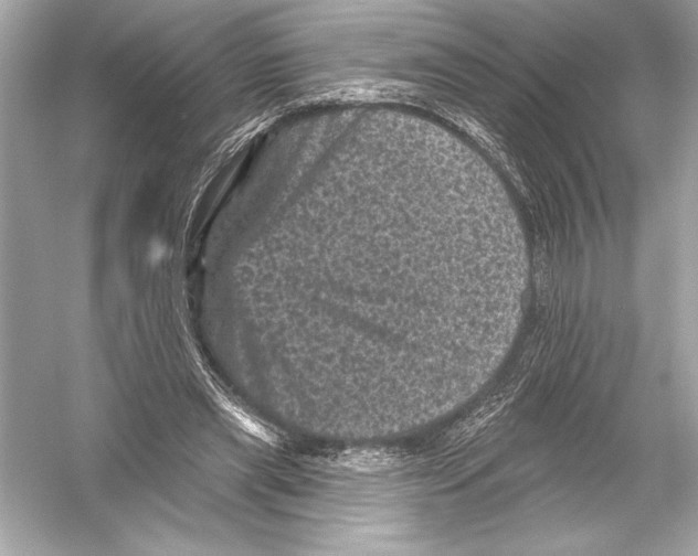 X0000051890445200507222020