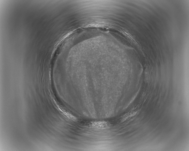 X0000051890446200507222020