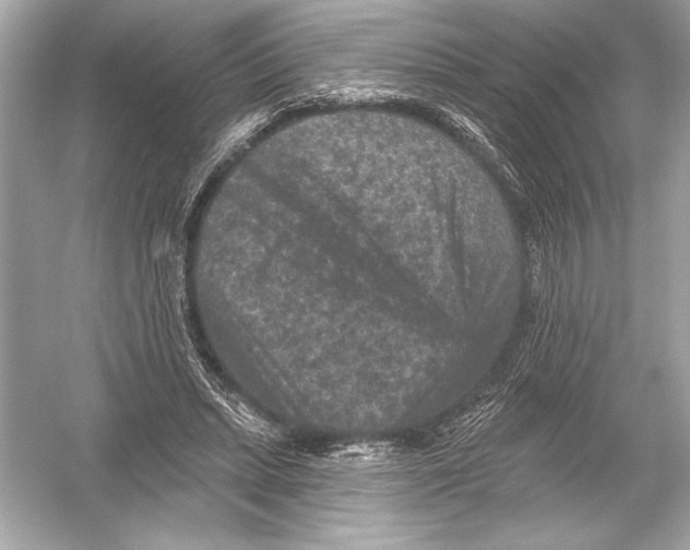 X0000051890447200507222020