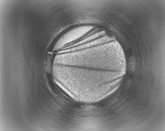 X0000051890448200507222020