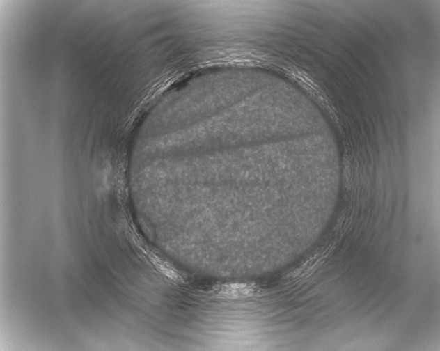 X0000051890449200507222020