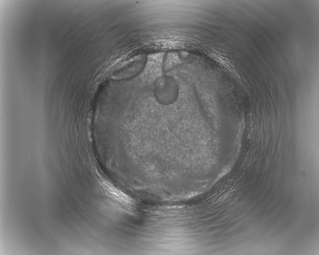 X0000051890450200507222020