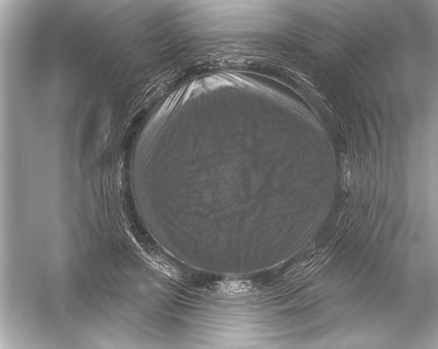 X0000051890451200507222020